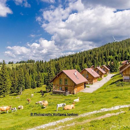 Beautiful Holiday Home In Weinebene With Sauna Posch Alpe エクステリア 写真