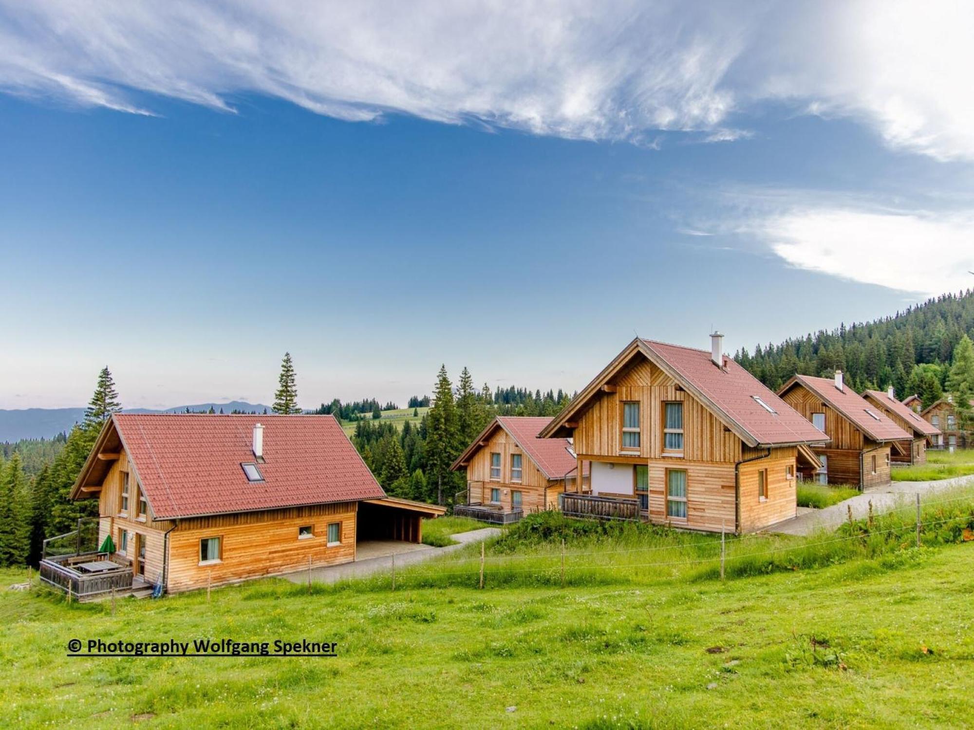 Beautiful Holiday Home In Weinebene With Sauna Posch Alpe エクステリア 写真