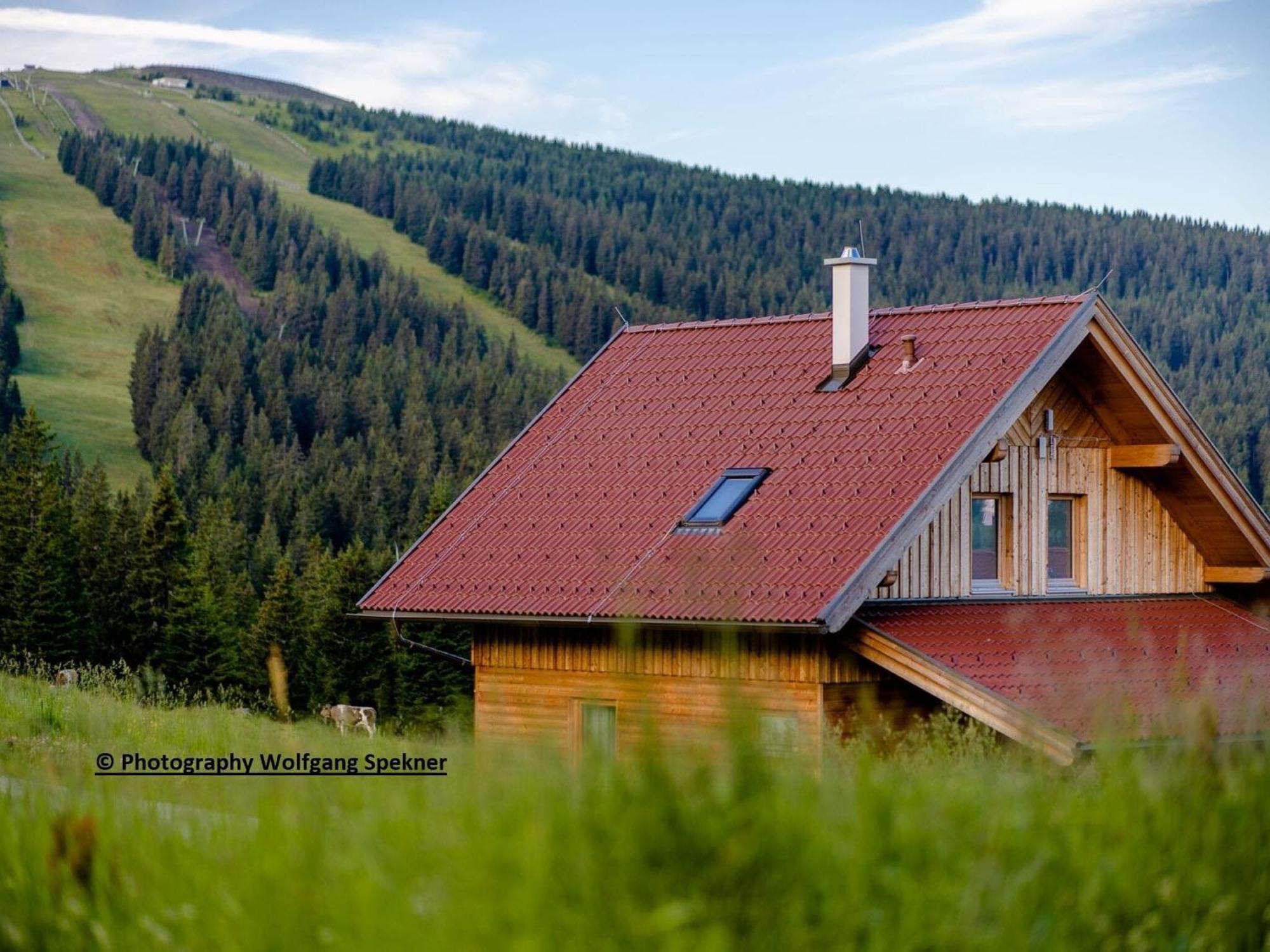 Beautiful Holiday Home In Weinebene With Sauna Posch Alpe エクステリア 写真