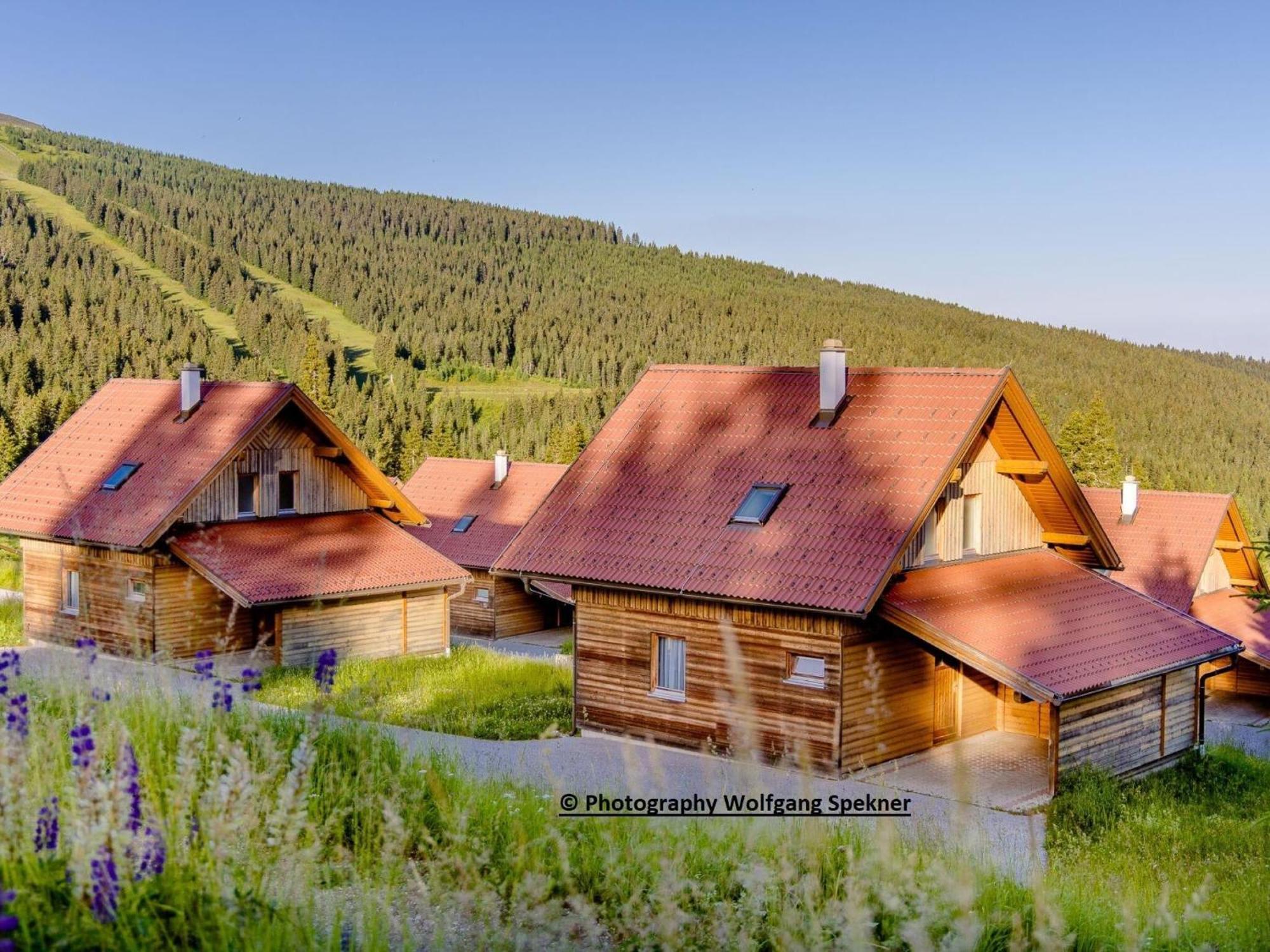 Beautiful Holiday Home In Weinebene With Sauna Posch Alpe エクステリア 写真
