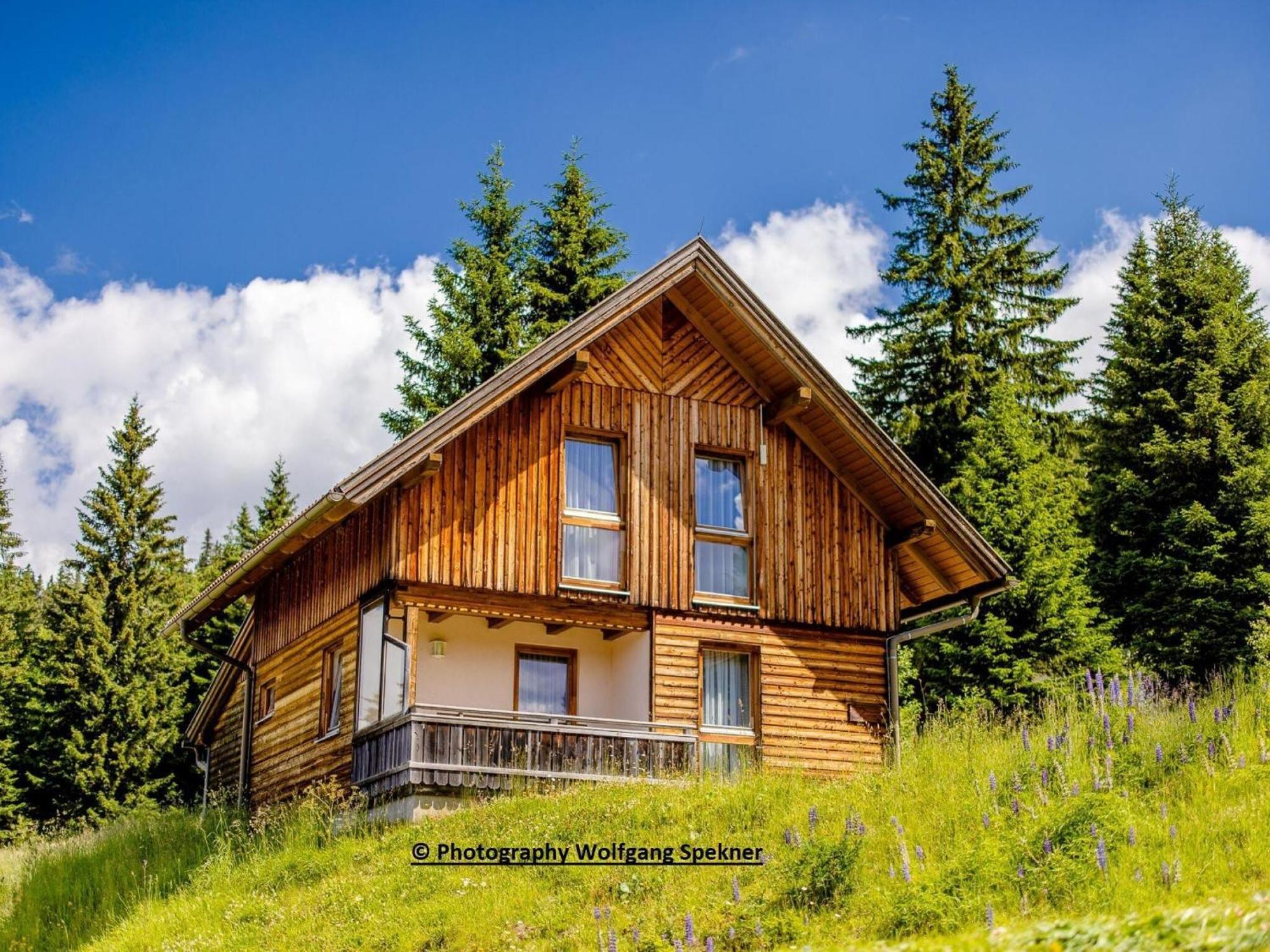 Beautiful Holiday Home In Weinebene With Sauna Posch Alpe エクステリア 写真
