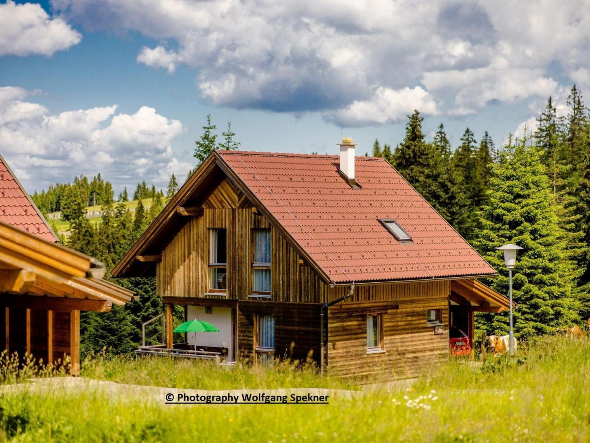 Beautiful Holiday Home In Weinebene With Sauna Posch Alpe エクステリア 写真