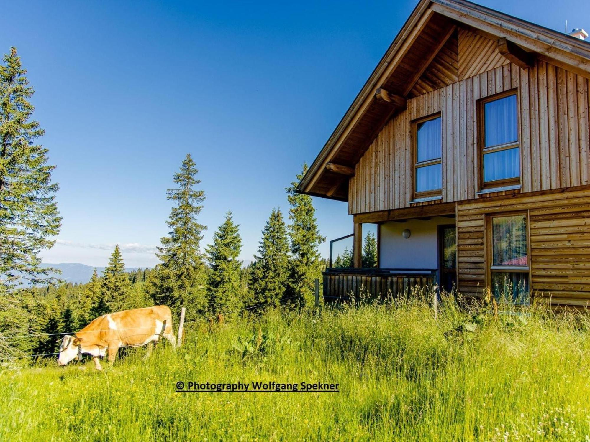 Beautiful Holiday Home In Weinebene With Sauna Posch Alpe エクステリア 写真