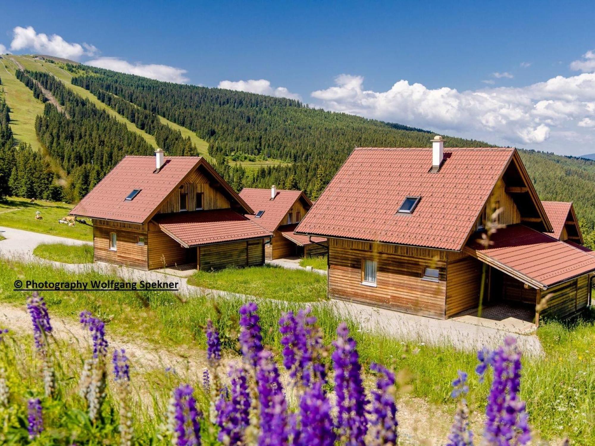 Beautiful Holiday Home In Weinebene With Sauna Posch Alpe エクステリア 写真