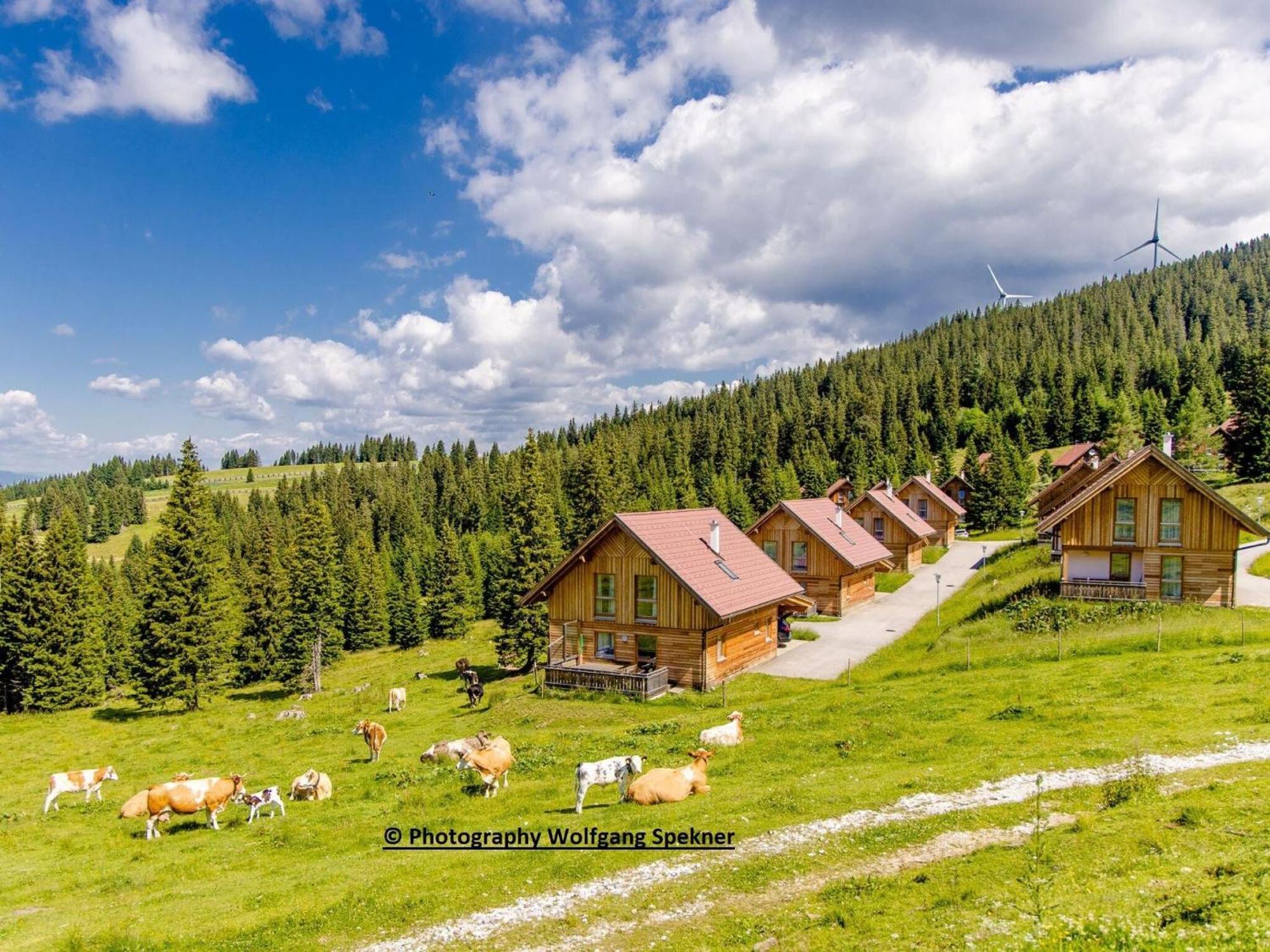 Beautiful Holiday Home In Weinebene With Sauna Posch Alpe エクステリア 写真