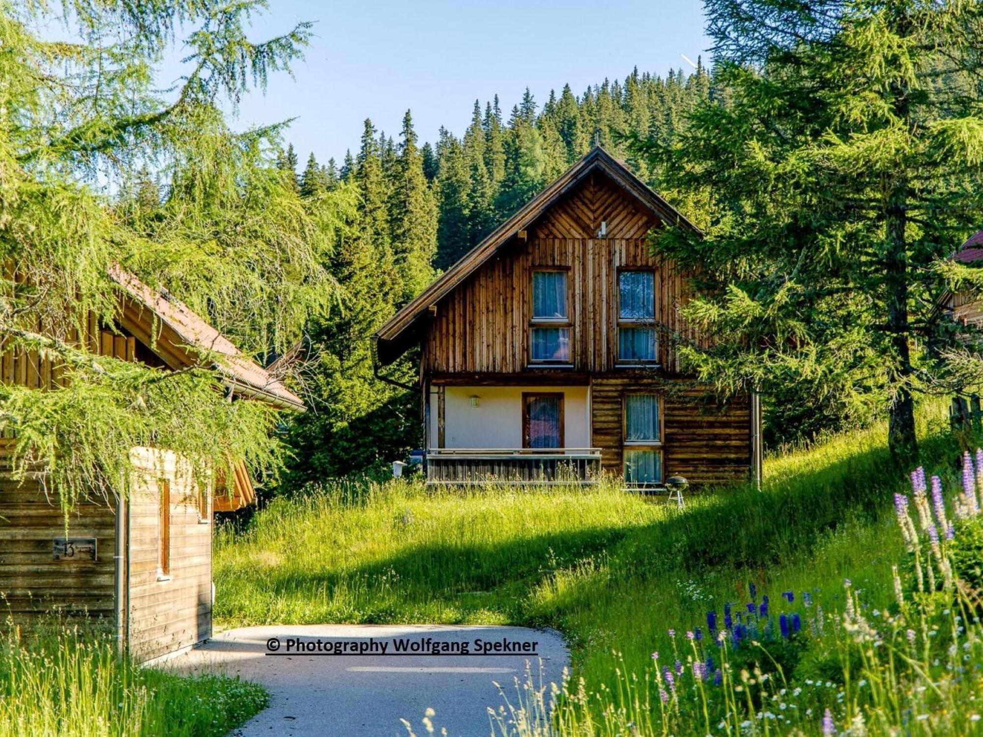 Beautiful Holiday Home In Weinebene With Sauna Posch Alpe エクステリア 写真